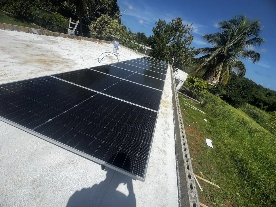 Solar panels on a flat roof surrounded by palm trees in Puerto Rico